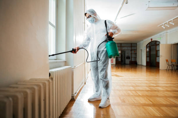 Professional Pest control in Mount Clemens, MI